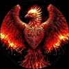 dllyshkaw8