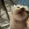 kimiii_mamiii