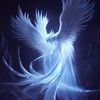 m_thomson1233
