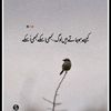 alisahab009