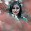 shewa osman