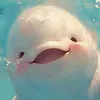co_do_the