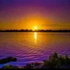 thanhbui28187
