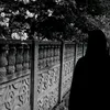 zi_h_5