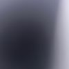 goods_by_markel