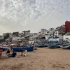 cypribinks