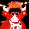 bennythebull