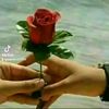 user40267838