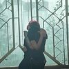 pricefieldzzz