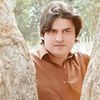ibrahimkhan7881