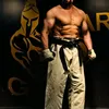 iraqtiger1