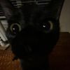 cocowallaa