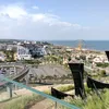 tam_nguyen919