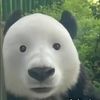 someone.com1