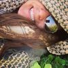lennysgirlfriend173
