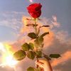 la_bellerose1
