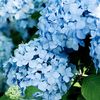 rasulova_61