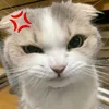 hmmmalex_