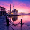 ayd95