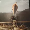 nmdtdckcnlcqtabt