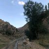 ogulverenprodiction