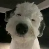 几卂ㄒ乇