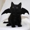 efelixx1