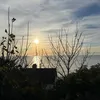 alexwxbm