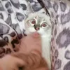 oumakassimi