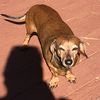 pretty.weiner