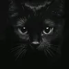 elhaouzi_95_