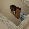 yessi.aint_here