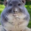 will_0smith8