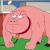 meatpappi