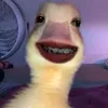 itskrizee