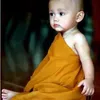 vannamtran11
