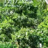 cuncon123489