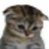 user47910101