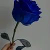 soukaina_sarhani