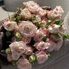 al_taraf4