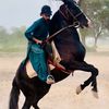 adeelabbassyed