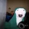 nignt_avant