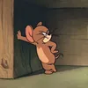 sangzz.23