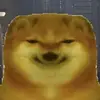 domtor_cheems
