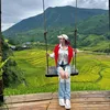 hoaianh_hoavatrap243