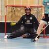 nbgoalie