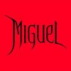 miguelvg127