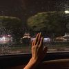 reema_2r0