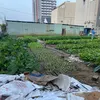 nttt_8386