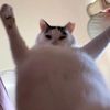 pinkimingie